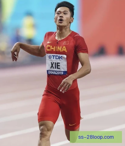 谢震业赛间训练调整到位，恢复节奏保障后续冲刺